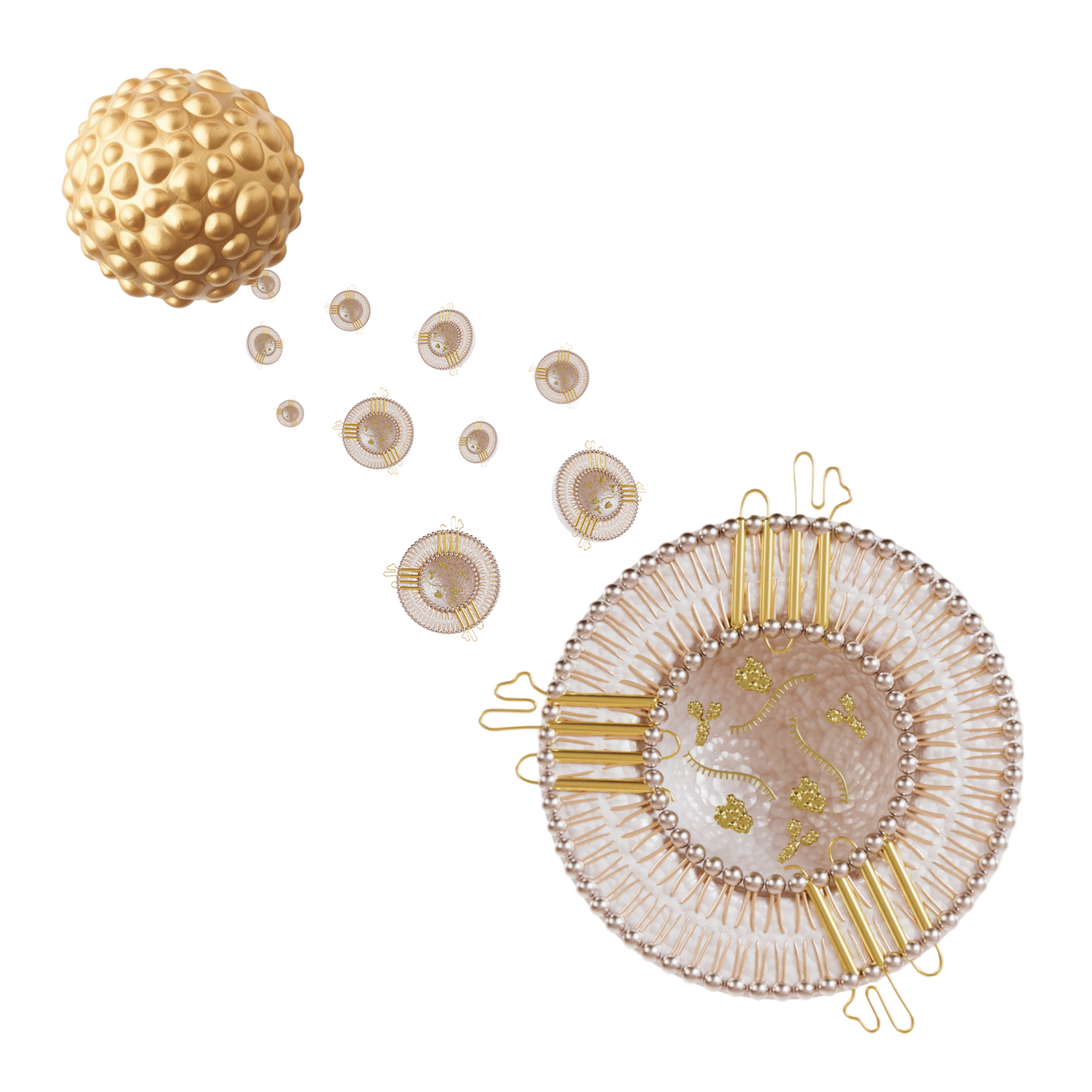 Scientific rendering of Renewosome® technology
